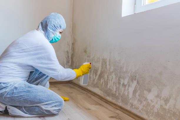 Mold Remediation specialist working in Lyons